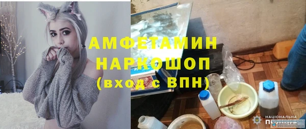 крисы Вязьма