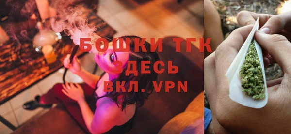 крисы Вязьма