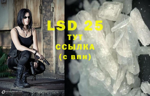 крисы Вязьма