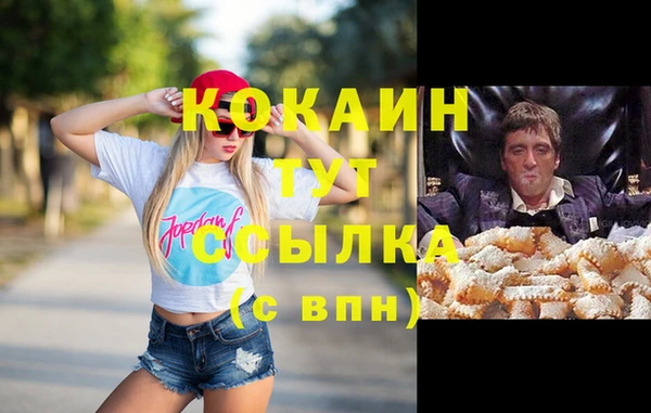 крисы Вязьма