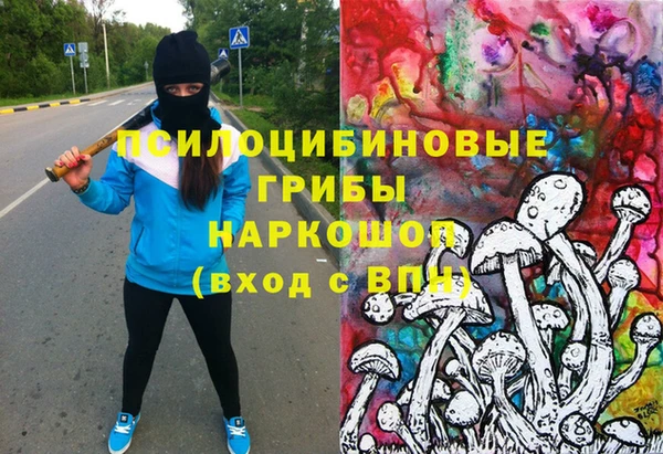 СК Вяземский
