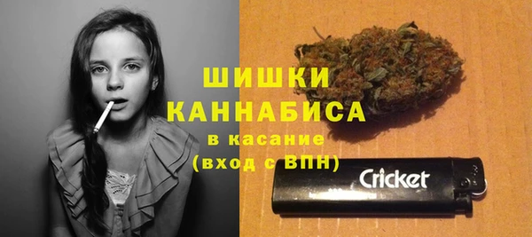 крисы Вязьма