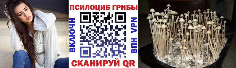 Псилоцибиновые грибы прущие грибы  Чехов 